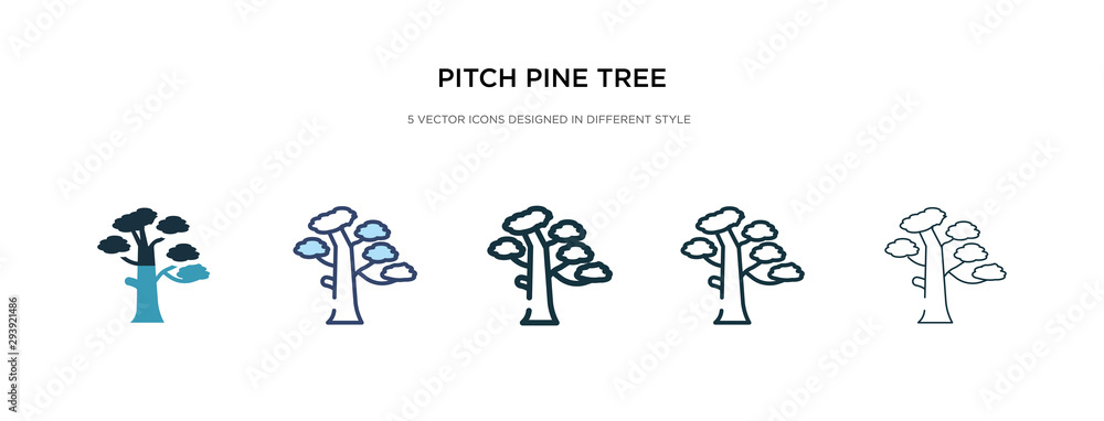 pitch pine tree icon in different style vector illustration. two colored and black pitch pine tree vector icons designed in filled, outline, line and stroke style can be used for web, mobile, ui pitch pine tree icon in different style vector illustration. two colored and black pitch pine tree vector icons designed in filled, outline, line and stroke style can be used for web, mobile, ui