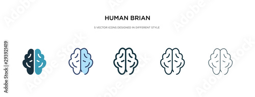human brian icon in different style vector illustration. two colored and black human brian vector icons designed in filled, outline, line and stroke style can be used for web, mobile, ui photo