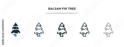 balsam fir tree icon in different style vector illustration. two colored and black balsam fir tree vector icons designed in filled, outline, line and stroke style can be used for web, mobile, ui