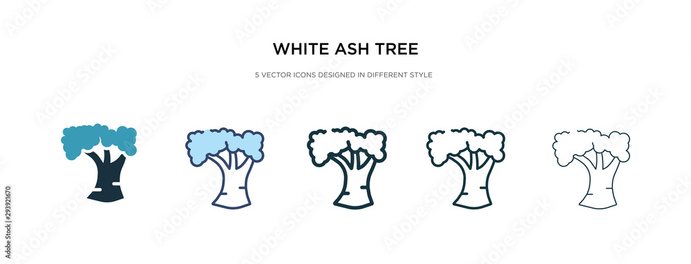 white ash tree icon in different style vector illustration. two colored and black white ash tree vector icons designed in filled, outline, line and stroke style can be used for web, mobile, ui