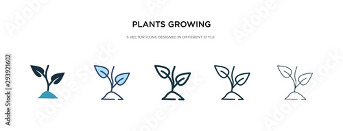 plants growing icon in different style vector illustration. two colored and black plants growing vector icons designed in filled, outline, line and stroke style can be used for web, mobile, ui