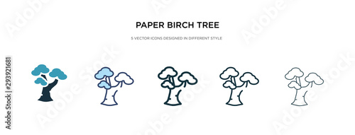 paper birch tree icon in different style vector illustration. two colored and black paper birch tree vector icons designed in filled  outline  line and stroke style can be used for web  mobile  ui