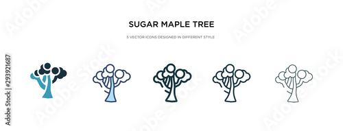 sugar maple tree icon in different style vector illustration. two colored and black sugar maple tree vector icons designed in filled, outline, line and stroke style can be used for web, mobile, ui