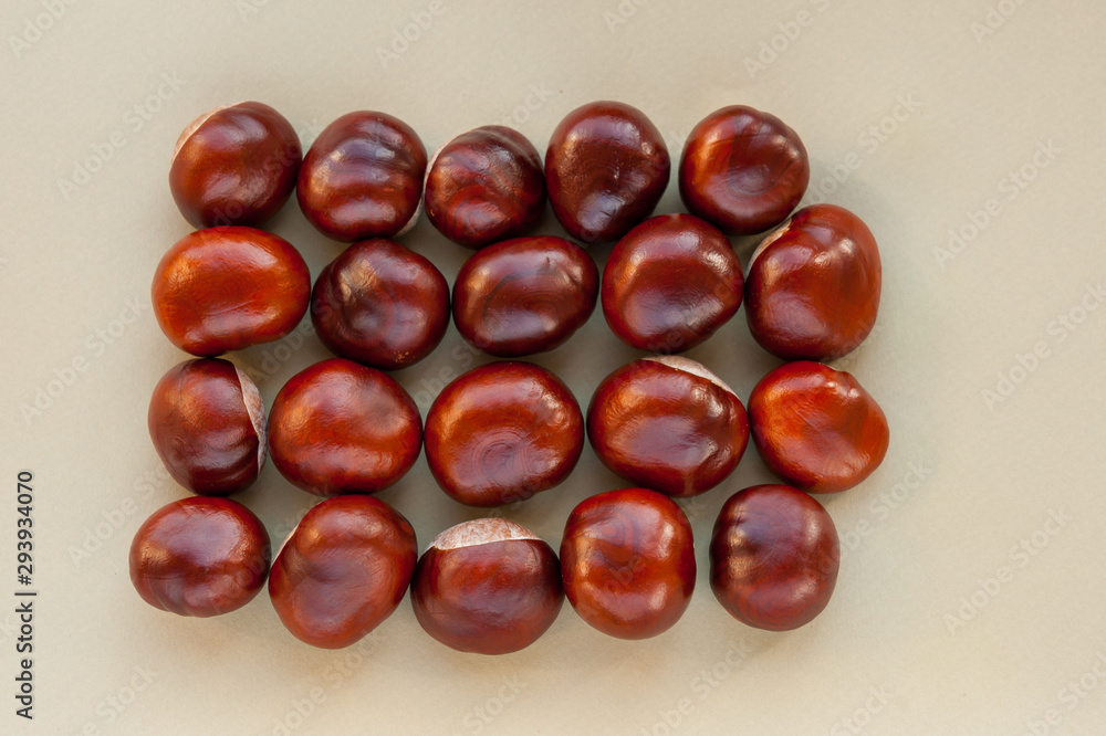 Sweet chestnuts rectangle on a blank grey background. fresh chestnuts ready to roast showing clock and time with red leaves. Top view, copy space. Concepts: autumn, fresh, green, eco Sweet chestnuts rectangle on a blank grey background. fresh chestnuts ready to roast showing clock and time with red leaves. Top view, copy space. Concepts: autumn, fresh, green, eco