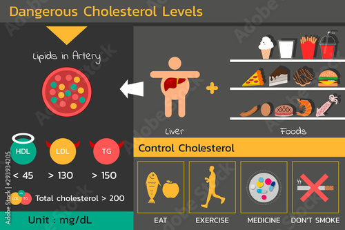 Dangerous cholesterol levels , fastfood and not control are cause of high cholesterol , vector