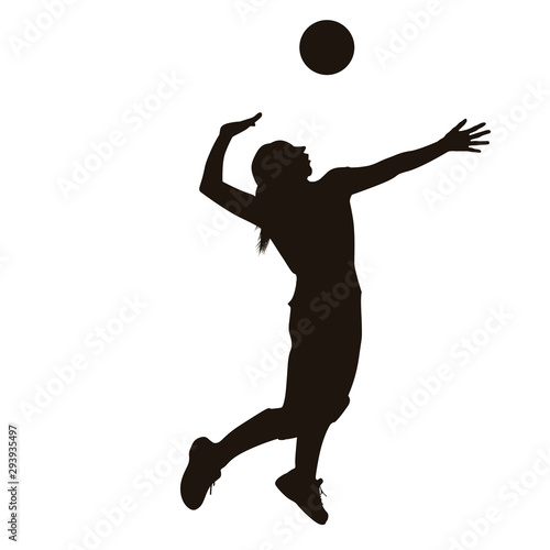 Volleyball Player Silhouette