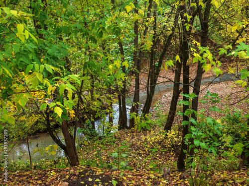 Autumn, Park, stream trees.