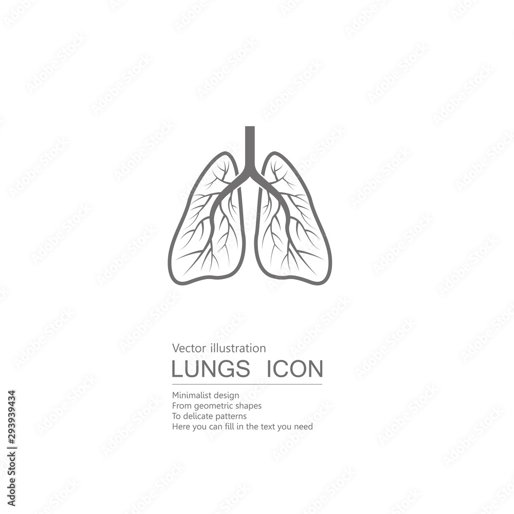 Vector drawn human lungs. Isolated on white background. Vector drawn human lungs. Isolated on white background.