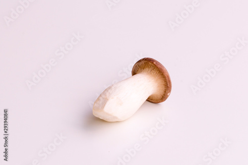 Single king trumpet mushroom (also known as french horn mushroom, king oyster mushroom or erring) centered and isolated on a white background.