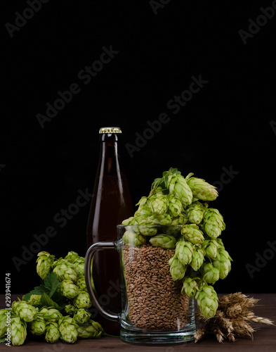 Bottle of a craft beer and mug with malt and fresh green hops like a foam on dark wooden table. Black background