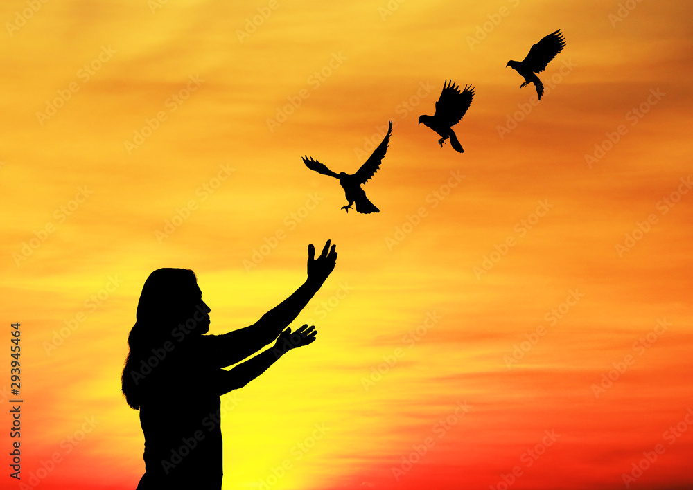 .silhouette of bird flying into lady hand on beautiful sunrise background.freedom concept .silhouette of bird flying into lady hand on beautiful sunrise background.freedom concept
