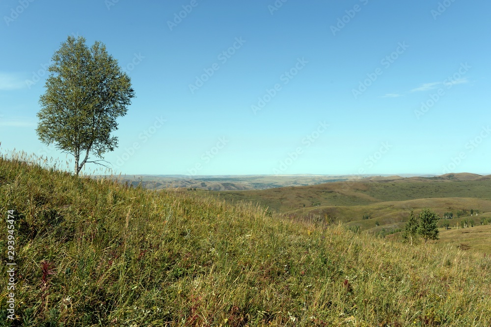 Foothills of the Altai Mountains. Western Siberia. Russia Foothills of the Altai Mountains. Western Siberia. Russia