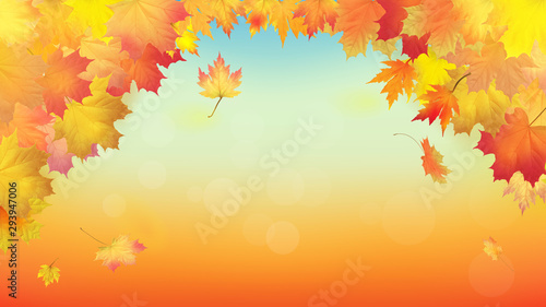 Maple leaves vector, autumn foliage. Background pattern
