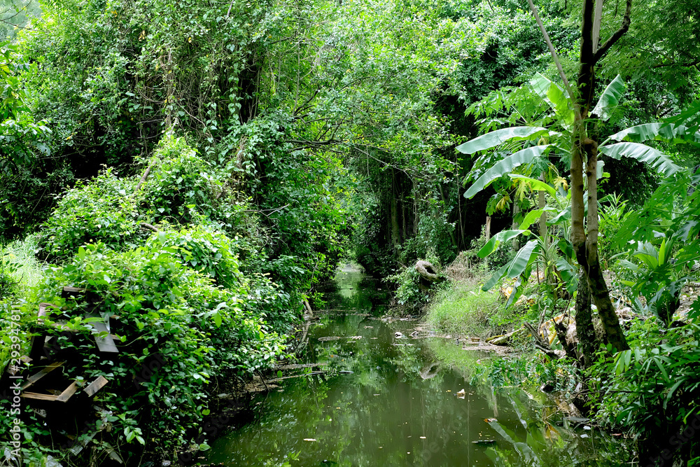 Obraz premium nature