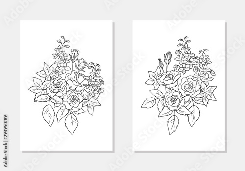 vector  floral rose delphinium flower leaf bouquet coloring page line art outline