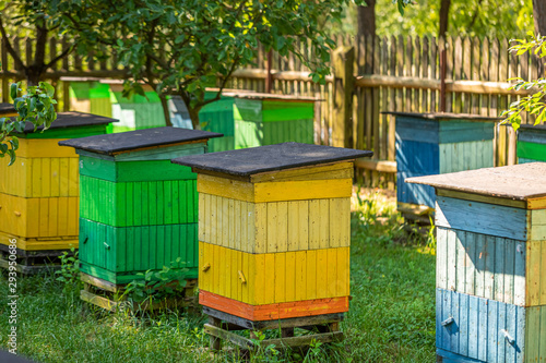 Old beehives in countryside, Poland in summer © shaiith