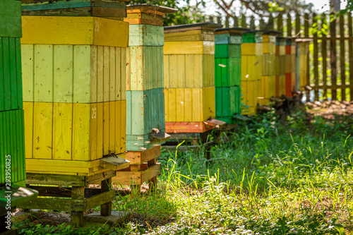 Old beehives in summer sunny day, Poland