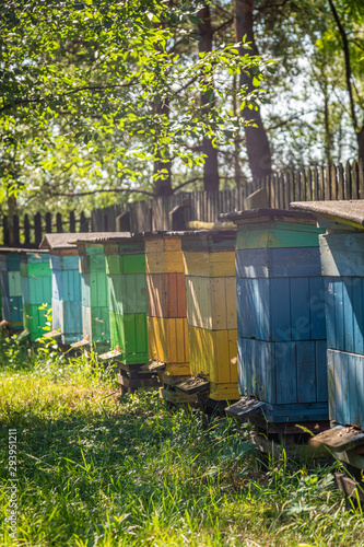 Colorful apiary full of bees in summer garden
