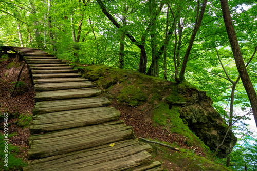 Wooden walkway leading through the dense forest at the Plitvice Lakes National Park in Croatia