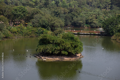 A small island with trees in the middle of a pond in a Safari Park