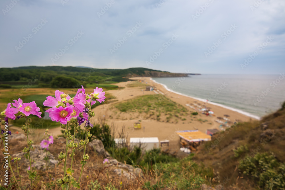 lilac flowers and out of focus a sandy beach on the black sea