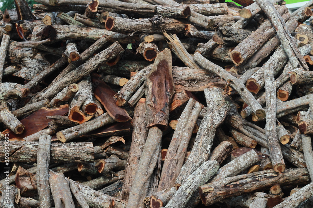 Madera Madera