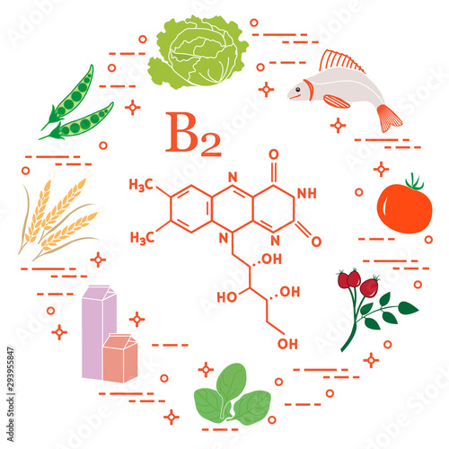 Foods rich in vitamin B2. Fish, peas and other.