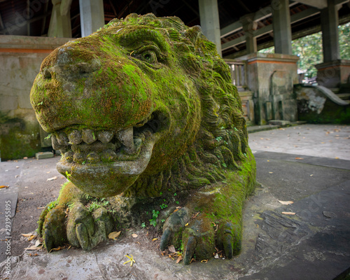Photography Lion statue