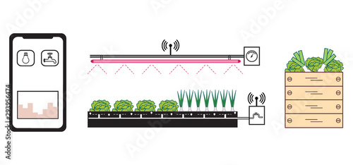 Smart farm and agriculture. New technologies.