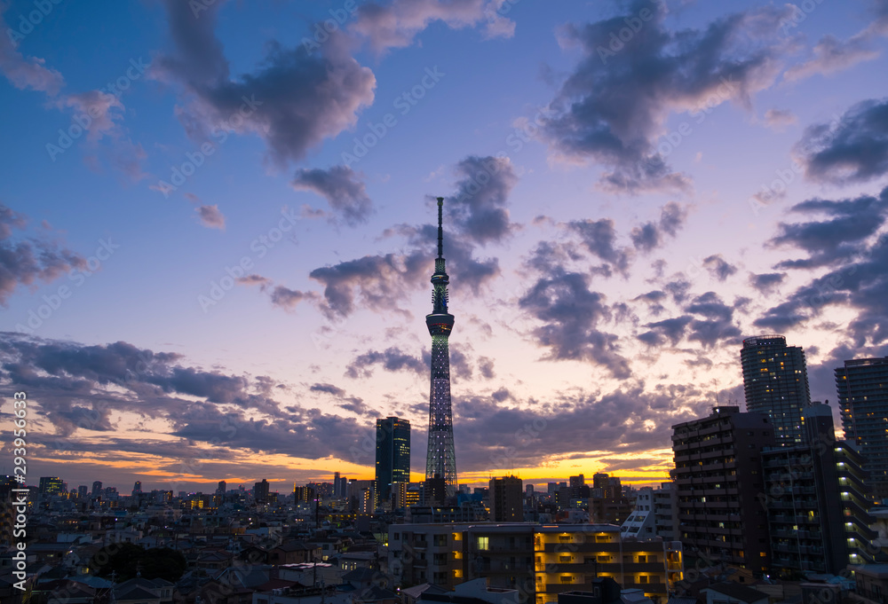 Obraz premium TokyoSkyTree