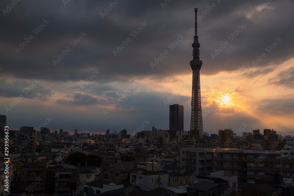 Obraz premium TokyoSkyTree