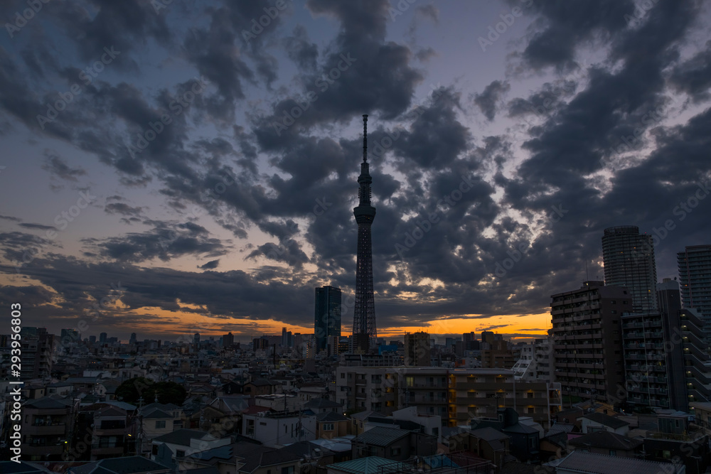 Fototapeta premium TokyoSkyTree