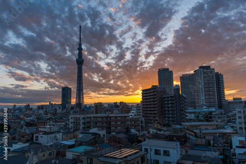 TokyoSkyTree photo