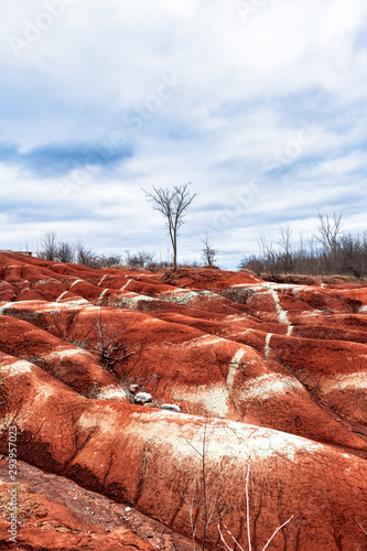 Cuadro en lienzo Bedlam Badlands Toronto