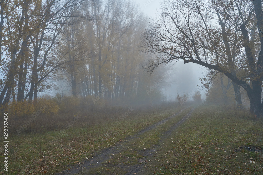 A quiet autumn dawn over the lake in sunlight. Fresh fog creeps over the ground. A quiet autumn dawn over the lake in sunlight. Fresh fog creeps over the ground.