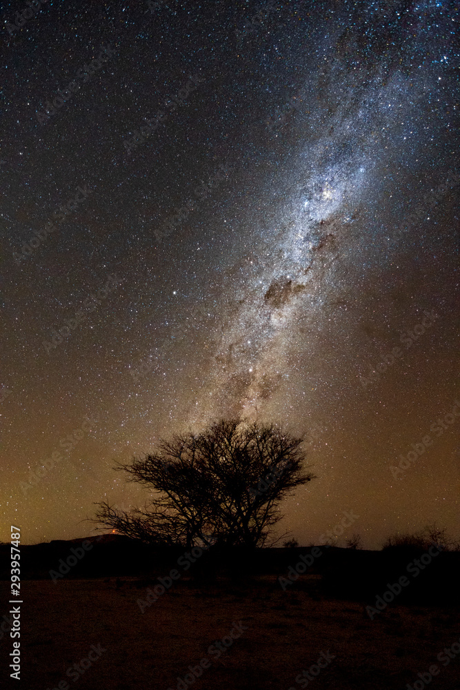 Beautiful milky way with alone tree in Namibia. Night landscape photograph. Beautiful milky way with alone tree in Namibia. Night landscape photograph.