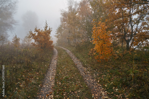 A quiet autumn dawn over the lake in sunlight. Fresh fog creeps over the ground.