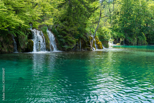 Fototapeta Naklejka Na Ścianę i Meble -  Rushing water cascades down the natural barriers into the crystal clear and azure coloured Lake Kozjak at the Plitvice Lakes National Park, Croatia