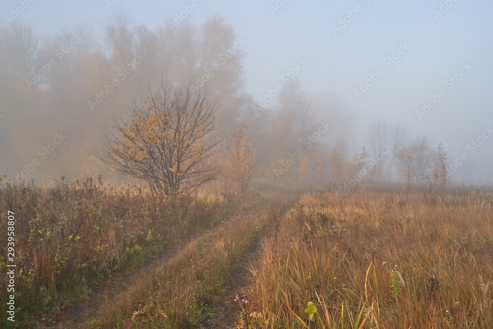 A quiet autumn dawn over the lake in sunlight. Fresh fog creeps over the ground.