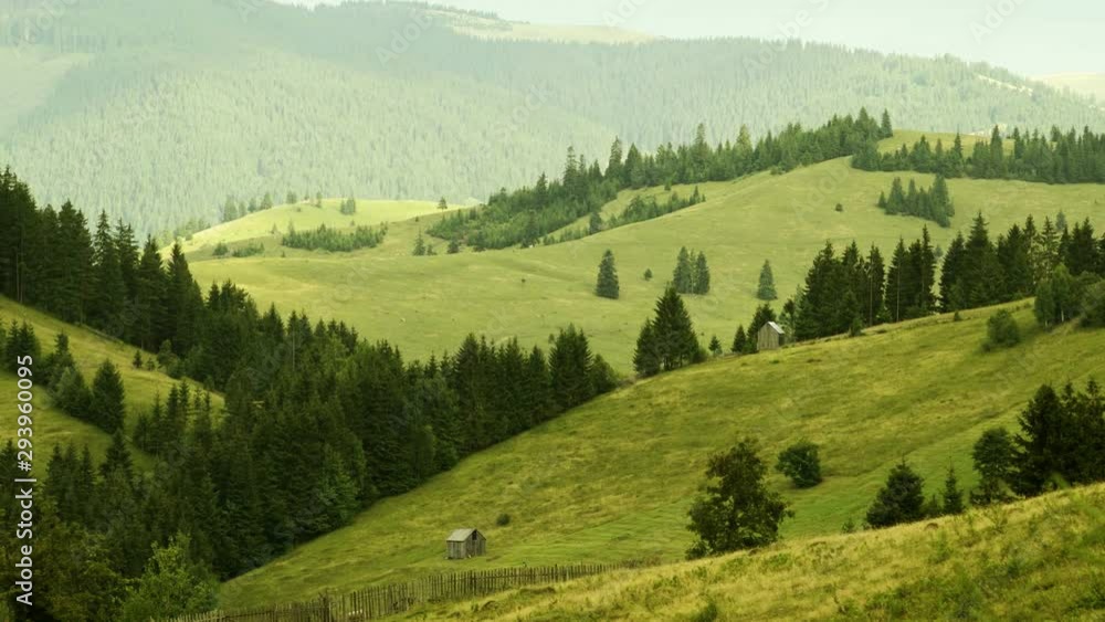 Amazing sun rays timelapse on the woods in 4k resolution while a lot of cow is moving around, very detailed while zooming in Amazing sun rays timelapse on the woods in 4k resolution while a lot of cow is moving around, very detailed while zooming in