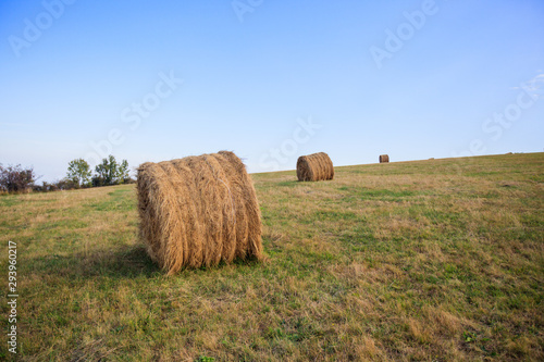 Rural landscape with rolled haystack