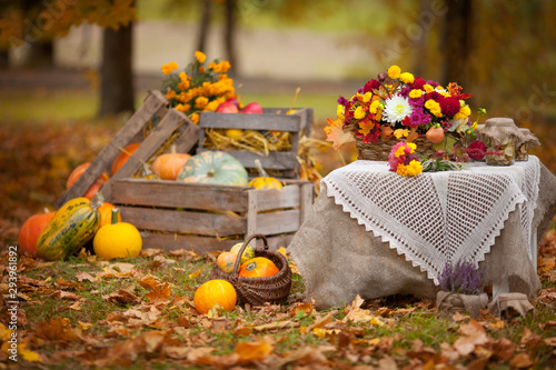 Autumn decor in the garden in rustic style. Pumpkins lying in wooden box on autumn background.  Old fashioned wooden distaff. Autumn time. Thanksgiving Day.