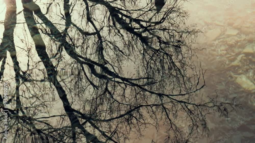 Tree branches reflection on water with light waving effect. Tree branches reflection on water with light waving effect.