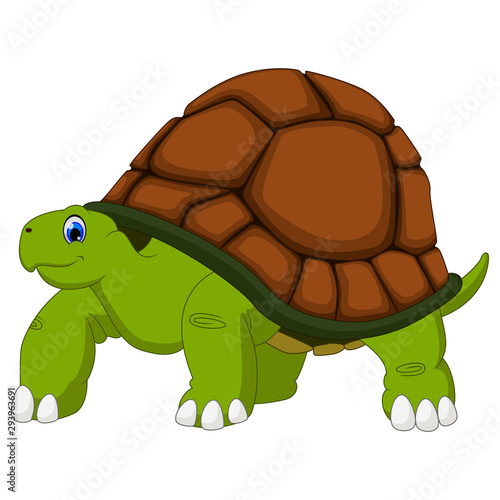 Cute turtle cartoon with white background