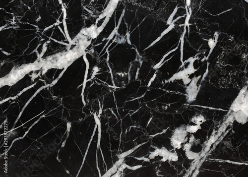 Many white patterned natural of black marble (Black Marquina) texture.