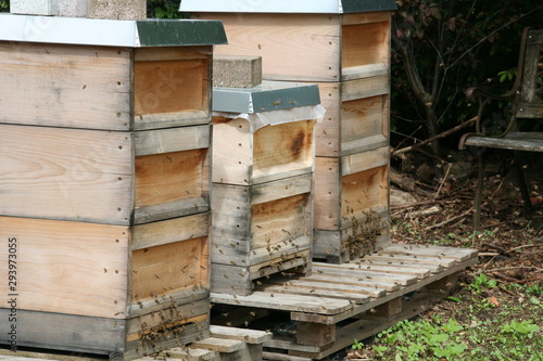 Bienenstöcke im Frühjahr