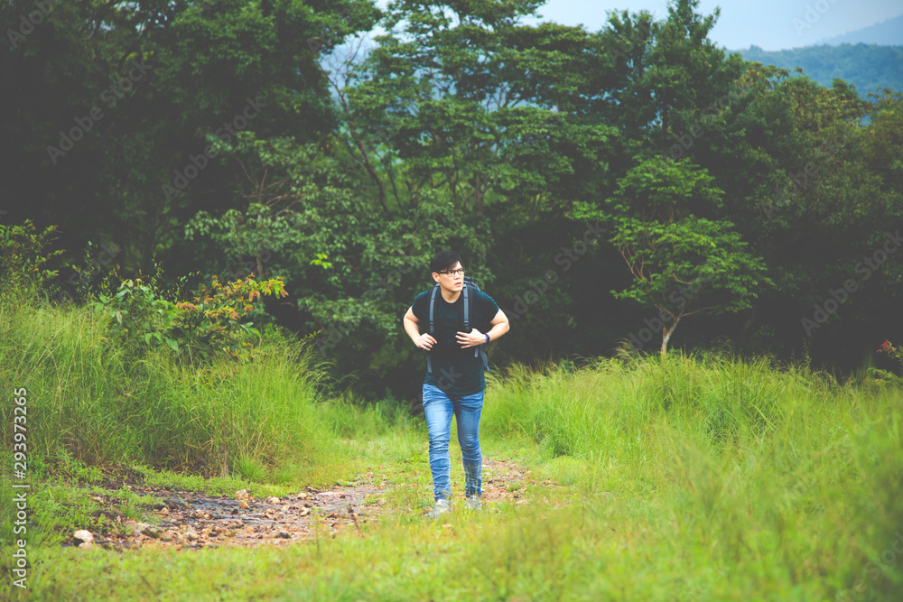 Fototapeta premium Young backpacker with backpack traveling along at forest. Tourist hiking in jungle forest.