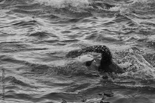 Swimming triathlon © Hanneke