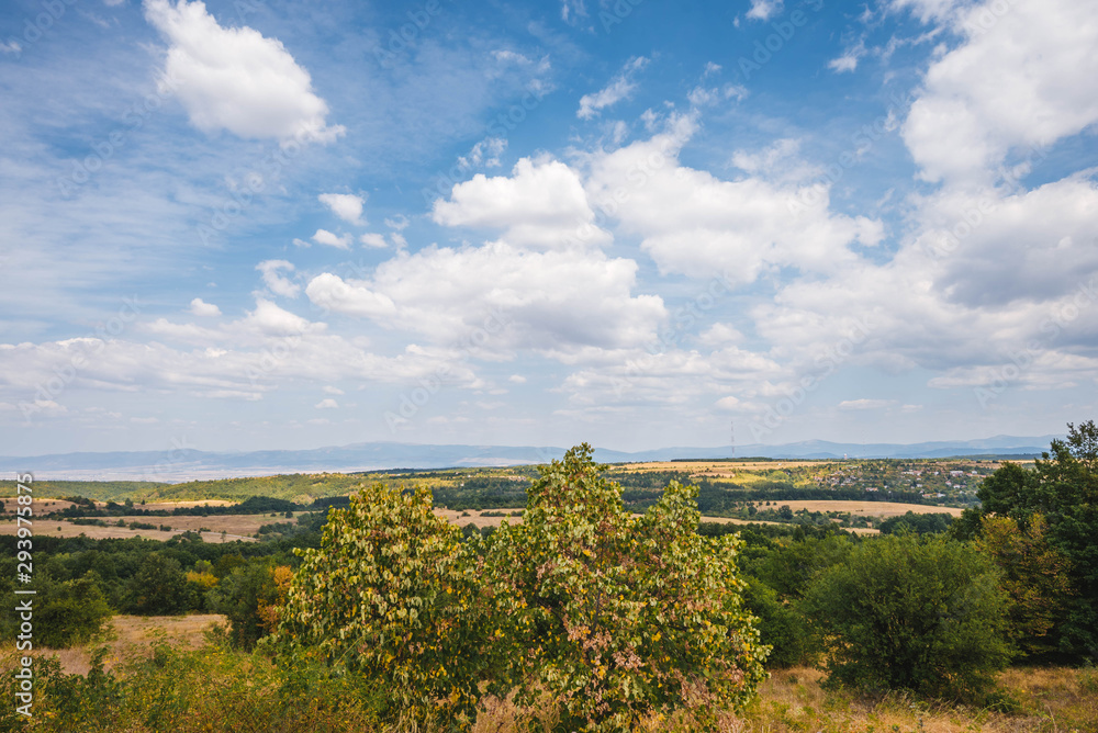 Summer landscape - hills and meadows on a bright summer day