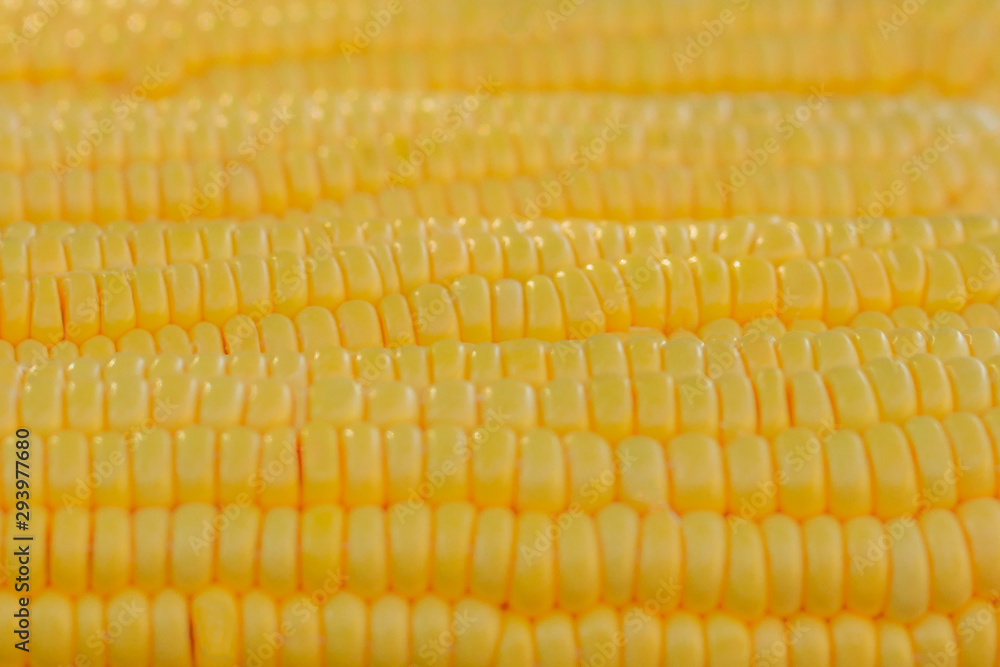 Ripe yellow corn as a texture. Selective focus. Ripe yellow corn as a texture. Selective focus.
